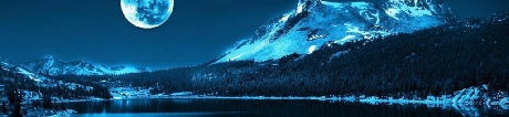 Contact Mountain Stream Ltd